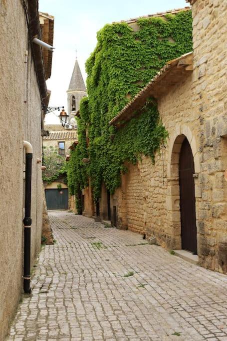 Apartmán Entre Uzes Et Le Pont-Du-Gard Le Logis D'Autrefois Castillon-du-Gard Exteriér fotografie
